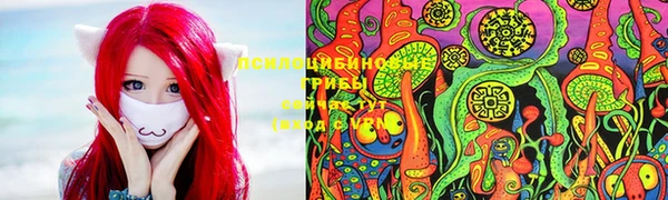 хмурый Горно-Алтайск